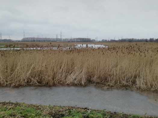 Plains of Zwijndrecht, Antwerp (Belgium)